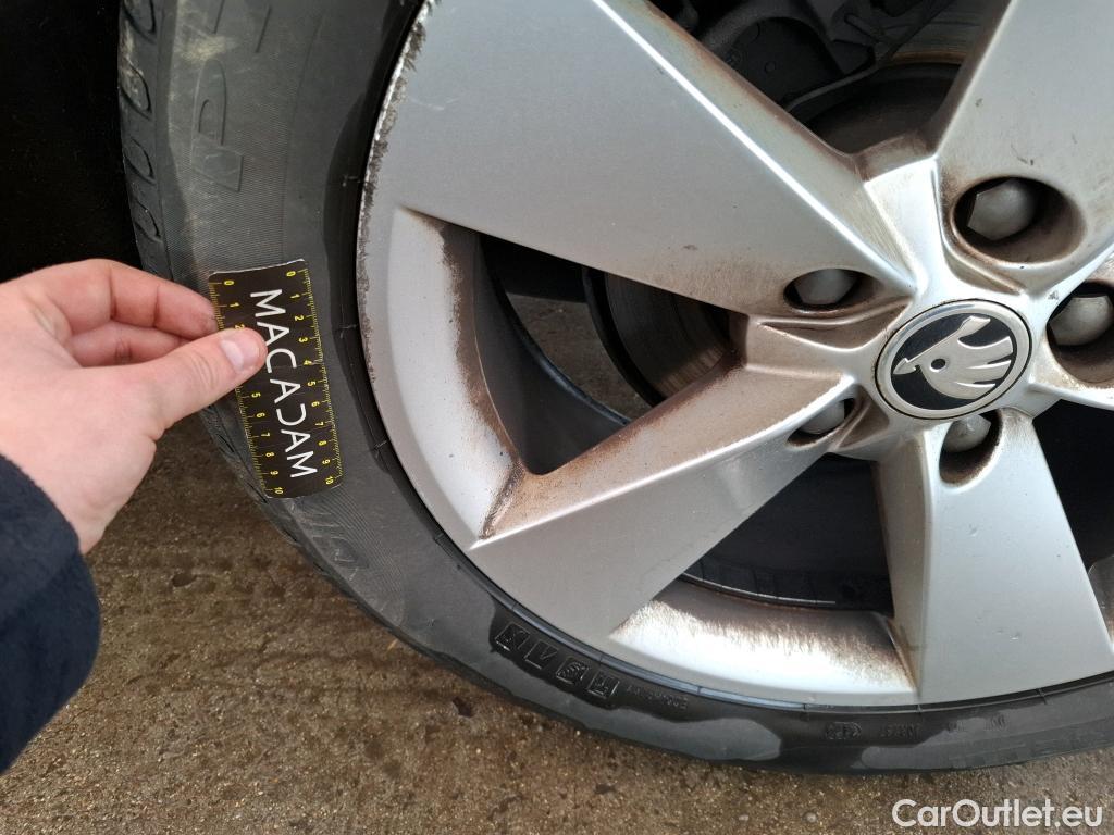  Skoda  Karoq  Business 1.6 TDI 115CV BVM6 E6dT #25