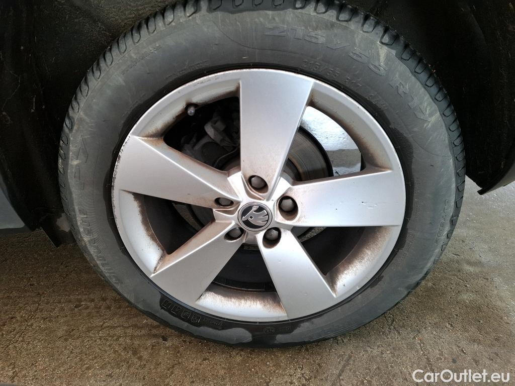  Skoda  Karoq  Business 1.6 TDI 115CV BVM6 E6dT #23