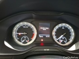  Skoda  Karoq  Business 1.6 TDI 115CV BVM6 E6dT #6