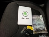  Skoda  Kodiaq  Business 2.0 TDI 150CV BVA7 E6d #12