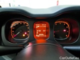  Fiat  Panda FIAT  / 2011 / 5P / BERLINA 1.2 69CV E6D-TEMP EASY #4