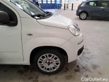  Fiat  Panda FIAT  / 2011 / 5P / BERLINA 1.2 69CV E6D-TEMP EASY #46