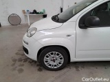  Fiat  Panda FIAT  / 2011 / 5P / BERLINA 1.2 69CV E6D-TEMP EASY #78