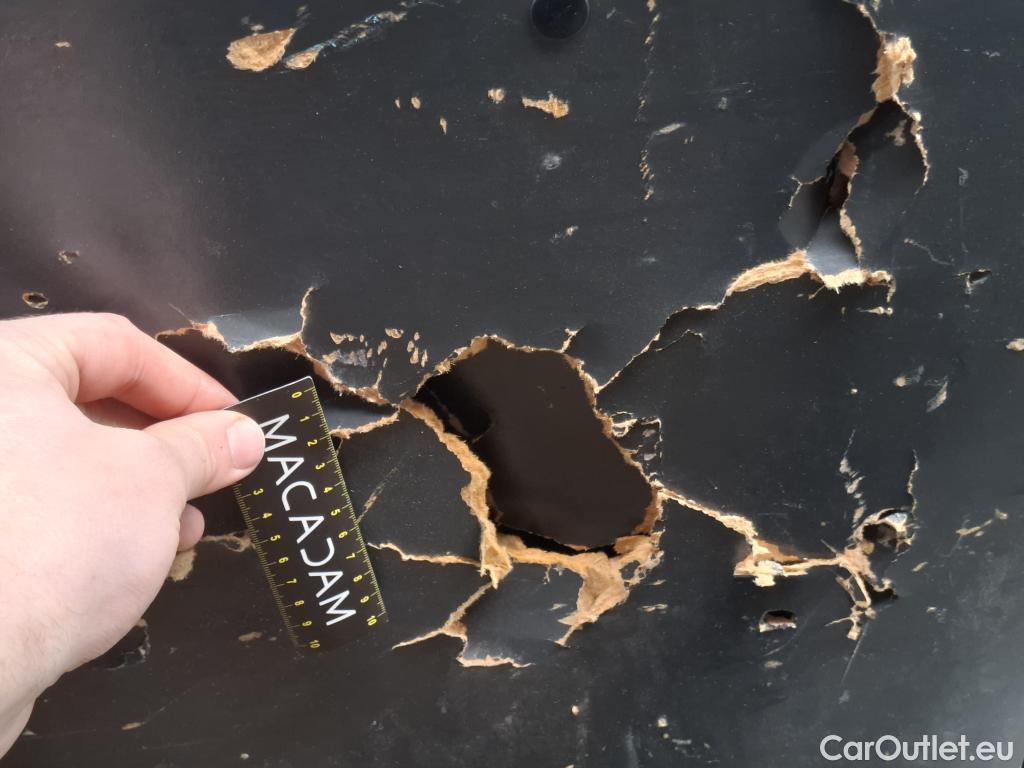  Renault  Kangoo  Express Grand Confort (L1) 1.5 dCi 90CV BVM5 E6 #46