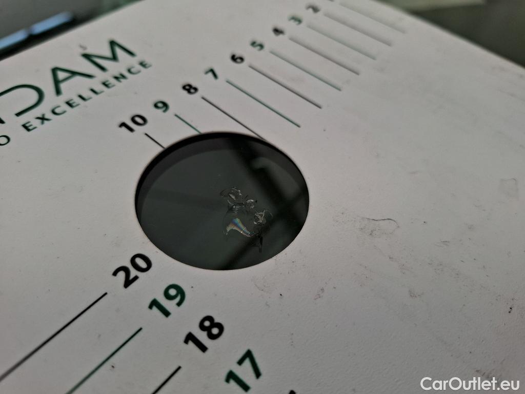  Renault  Megane  IV Berline 5pt. Société Air 1.5 dCi 90CV BVM6 E6 #21