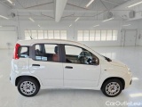  Fiat  Panda FIAT  / 2011 / 5P / BERLINA 1.2 69CV SeS E6D-TEMP EASY #7