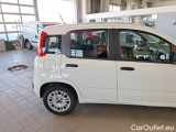  Fiat  Panda FIAT  / 2011 / 5P / BERLINA 1.2 69CV SeS E6D-TEMP EASY #43