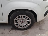  Fiat  Panda FIAT  / 2011 / 5P / BERLINA 1.2 69CV SeS E6D-TEMP EASY #17