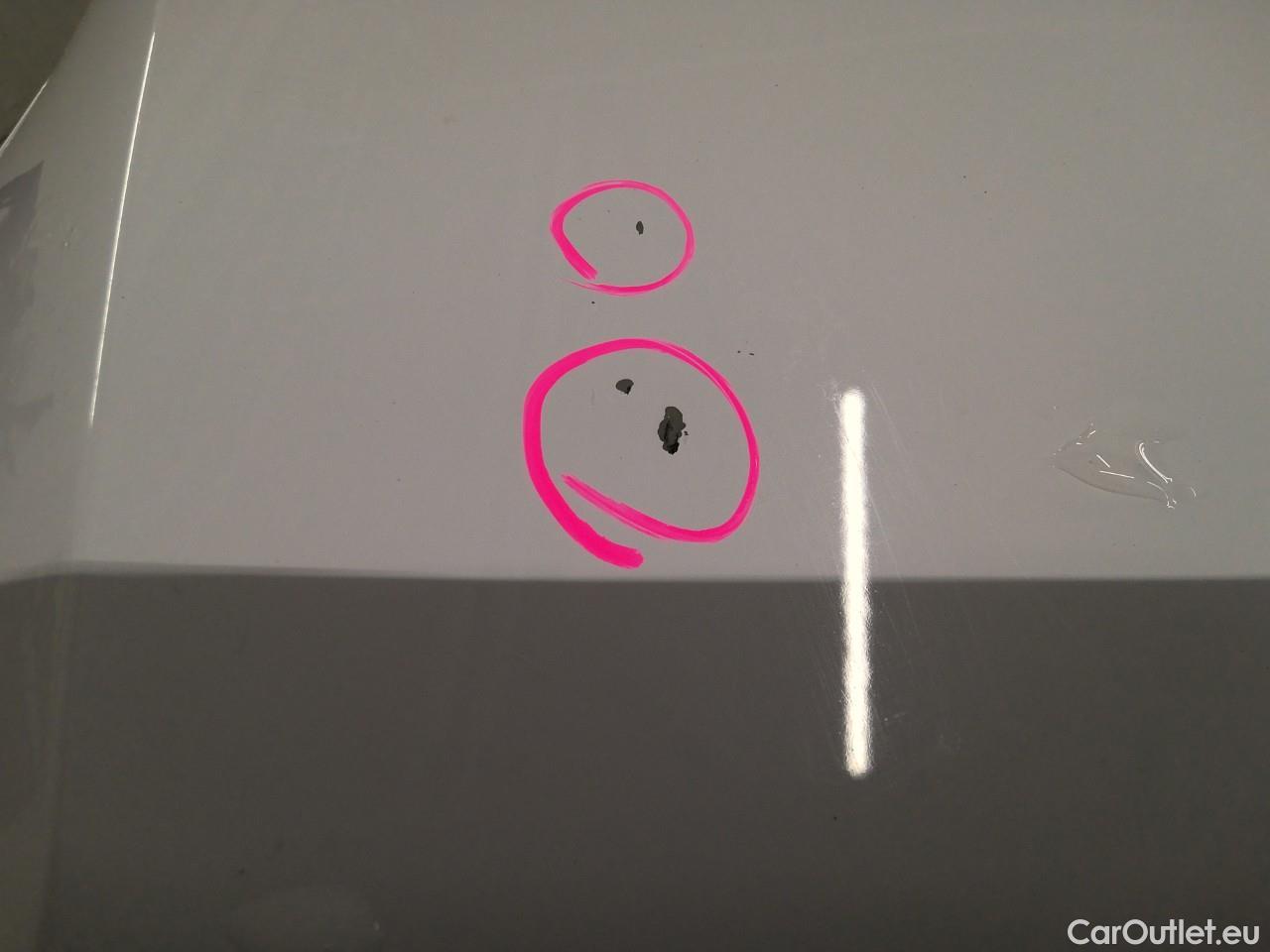  Volkswagen  Caddy  TDI 110 Maxi 4WD Aut. #18