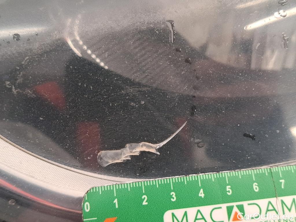  Renault  Clio  IV Grandtour Business Eco2 1.5 dCi 90CV BVM5 E5 #11