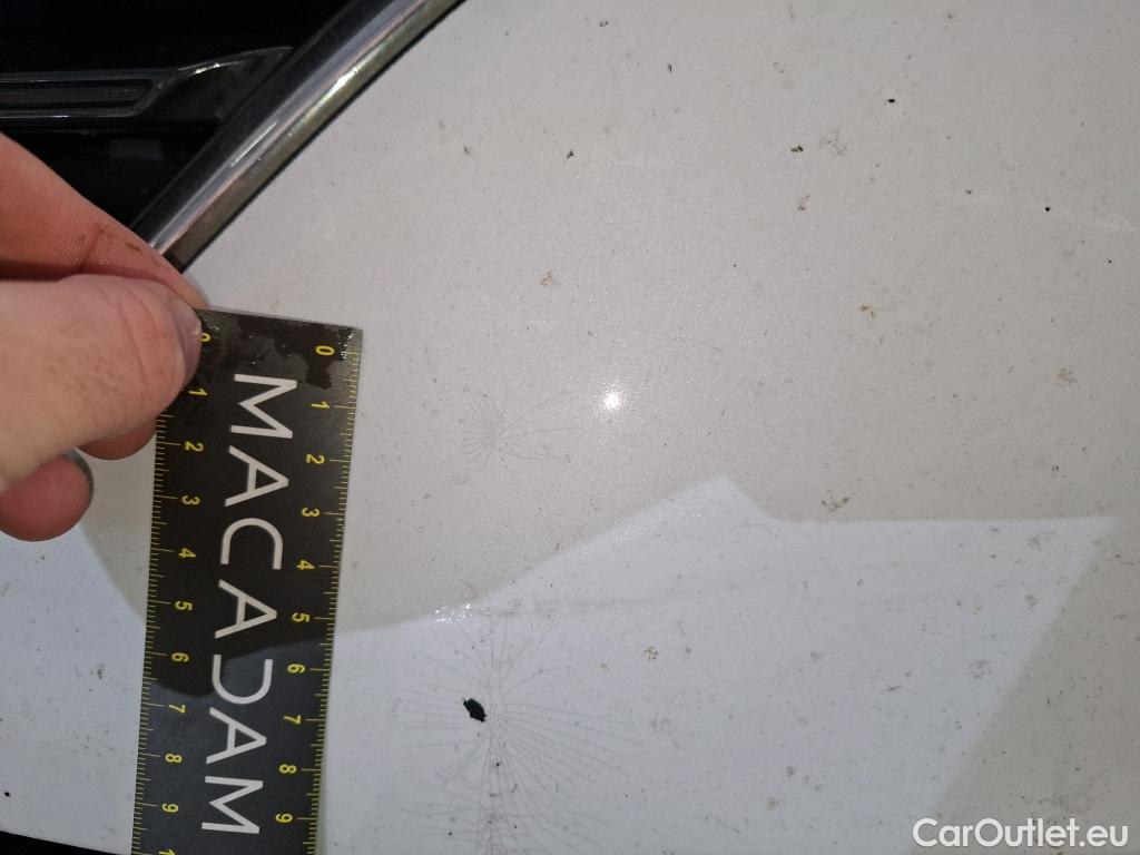  Renault  Megane  IV Berline 5pt. Zen 1.5 dCi 110CV BVM6 E6 #8