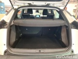  Peugeot  2008 1.5 BLUEHDI 110 S&S ACTIVE BUSINESS #13