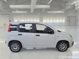  Fiat  Panda FIAT  / 2011 / 5P / BERLINA 1.0 FIREFLY 70CV SeS HYBRID #7