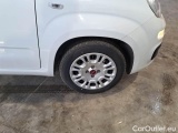  Fiat  Panda FIAT  / 2011 / 5P / BERLINA 1.0 FIREFLY 70CV SeS HYBRID #29