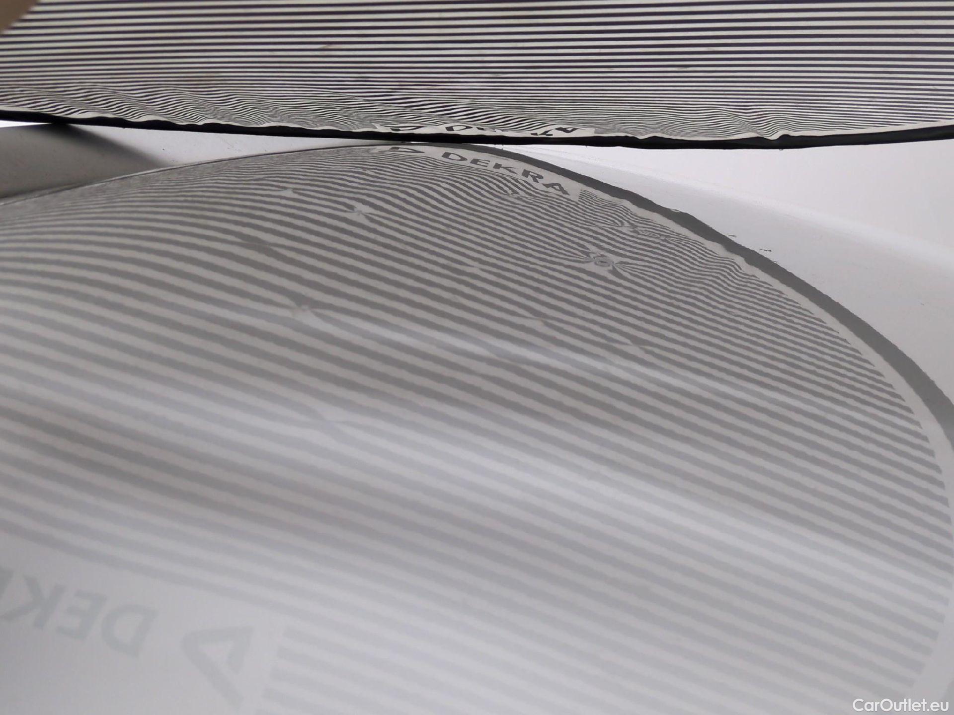  Renault  Trafic RENAULT  / 2019 / 4P / Fourgon tole FG GCF L2H2 1200 Energy dCi 145 E6 #14