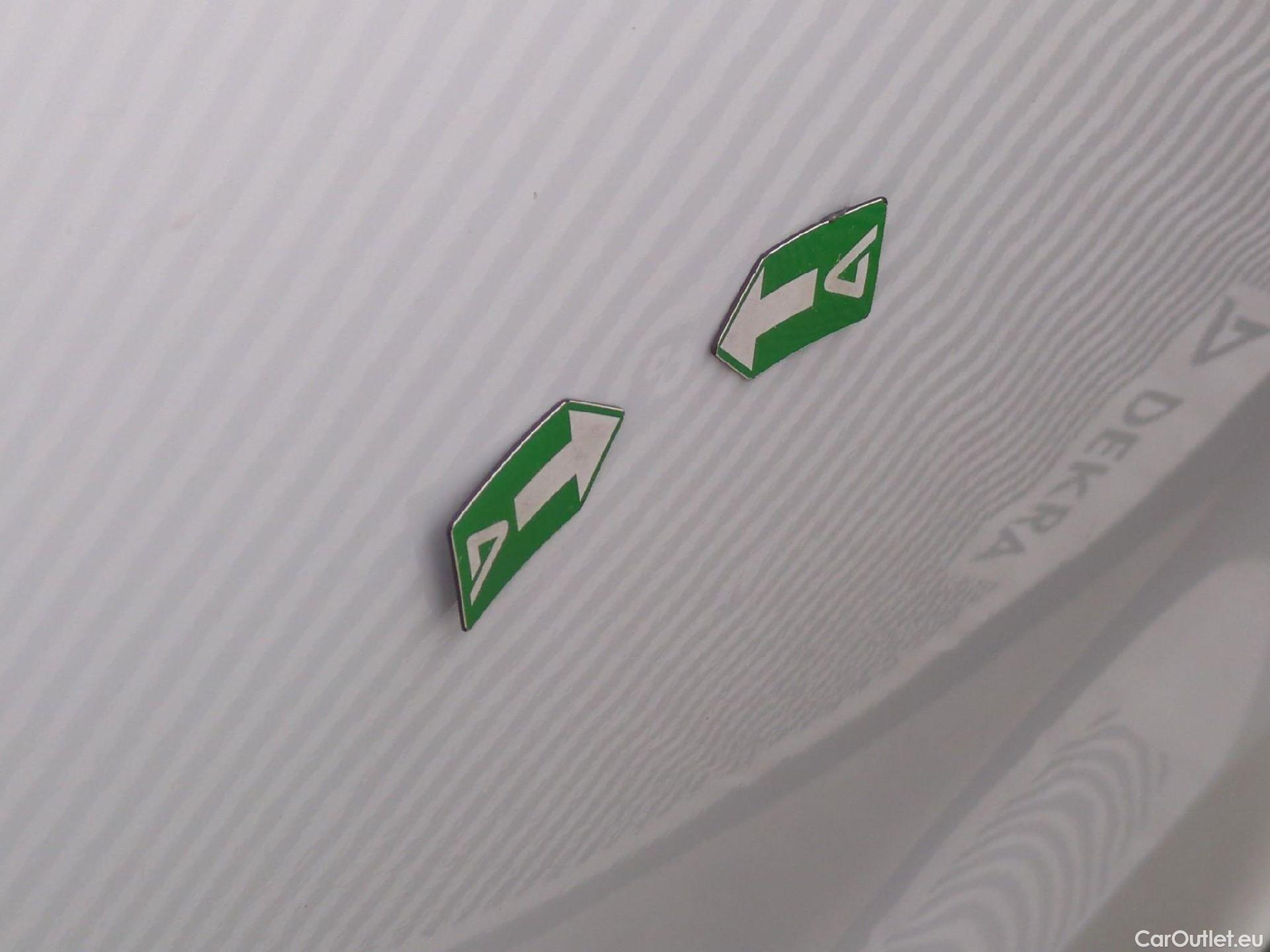  Renault  Trafic RENAULT  / 2019 / 4P / Fourgon tole FG GCF L2H2 1200 Energy dCi 145 E6 #52