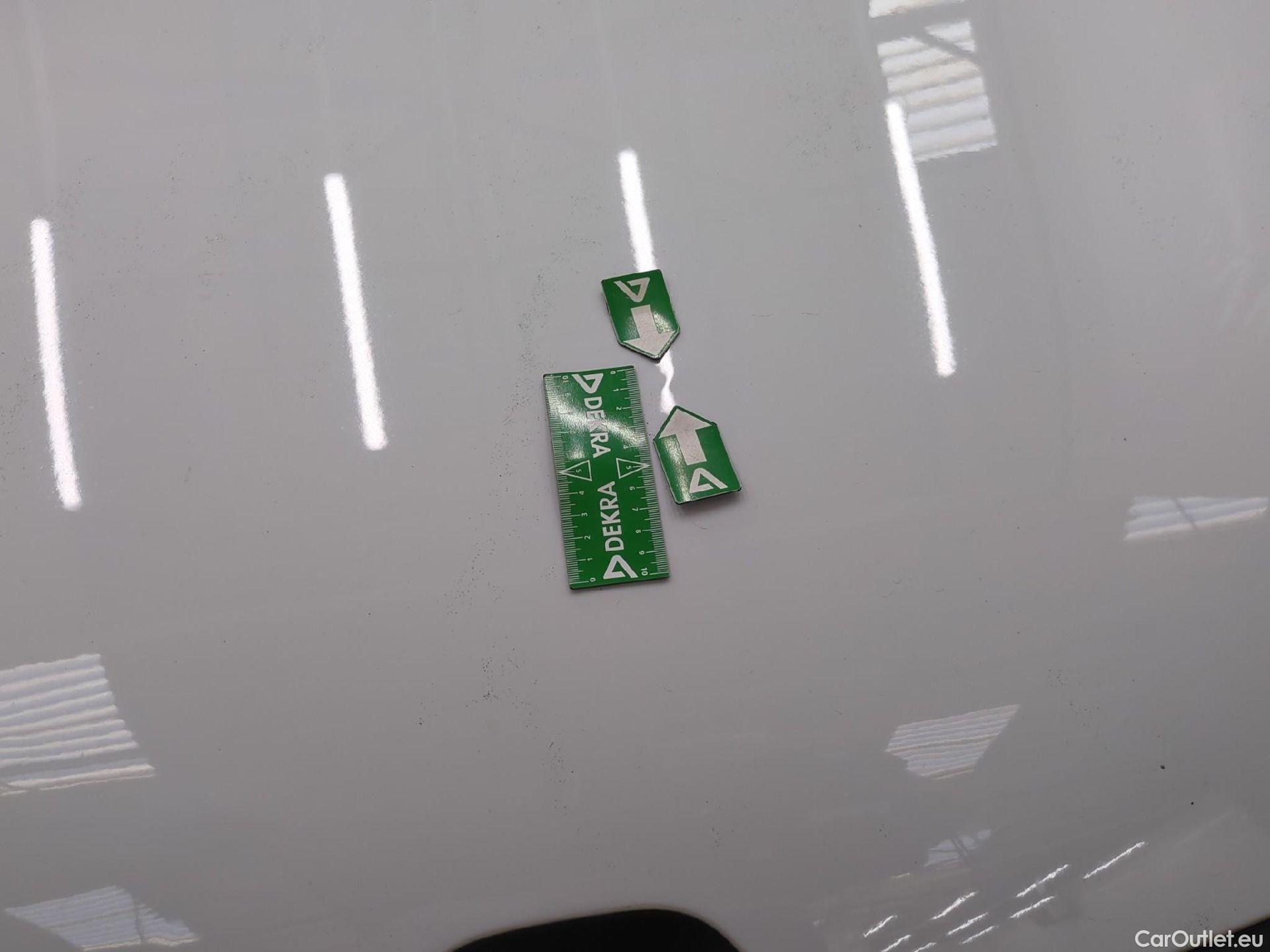  Renault  Trafic RENAULT  / 2019 / 4P / Fourgon tole FG GCF L2H2 1200 Energy dCi 145 E6 #48