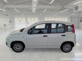  Fiat  Panda FIAT  / 2011 / 5P / BERLINA 1.0 70CV SeS HYBRID #8