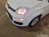  Fiat  Panda FIAT  / 2011 / 5P / BERLINA 1.0 70CV SeS HYBRID #26