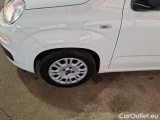  Fiat  Panda FIAT  / 2011 / 5P / BERLINA 1.0 70CV SeS HYBRID #58
