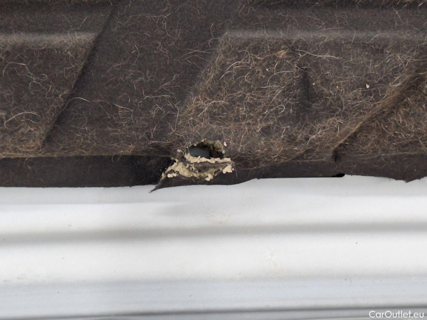  Audi  Q3 Audi,  '18, Audi  35 TDI S tronic Advanced Business Editio 5 #35