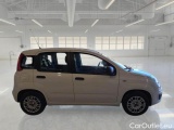  Fiat  Panda FIAT  / 2011 / 5P / BERLINA 1.2 69CV SeS E6D-TEMP EASY #7