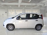  Fiat  Panda FIAT  / 2011 / 5P / BERLINA 1.2 69CV SeS E6D-TEMP EASY #8