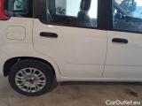  Fiat  Panda FIAT  / 2011 / 5P / BERLINA 1.2 69CV SeS E6D-TEMP EASY #52