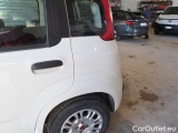  Fiat  Panda FIAT  / 2011 / 5P / BERLINA 1.2 69CV SeS E6D-TEMP EASY #74