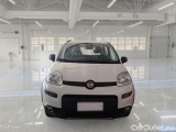  Fiat  Panda FIAT  / 2011 / 5P / BERLINA 0.9 TWINAIR TURBO 85CV WILD 4X4 #6
