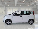  Fiat  Panda FIAT  / 2011 / 5P / BERLINA 1.2 69CV E6D-TEMP EASY #8