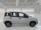  Fiat  Panda FIAT  / 2011 / 5P / BERLINA 1.2 69CV E6D-TEMP EASY #7