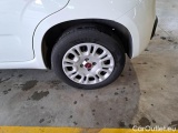  Fiat  Panda FIAT  / 2011 / 5P / BERLINA 1.2 69CV E6D-TEMP EASY #19