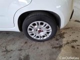  Fiat  Panda FIAT  / 2011 / 5P / BERLINA 1.2 69CV E6D-TEMP EASY #47