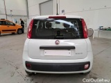  Fiat  Panda FIAT  / 2011 / 5P / BERLINA 1.0 FIREFLY 70CV SeS HYBRID #44