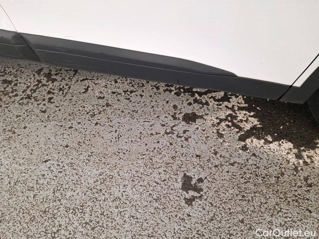  Peugeot  2008  Active Business 1.5 HDi 110CV BVM6 E6d / TRANSFO VP VF #41