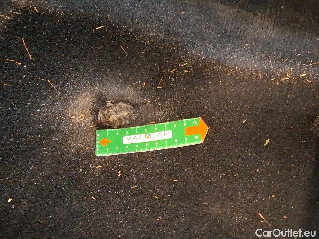  Skoda  Kodiaq  Business 2.0 TDI 150CV BVA7 E6d #2