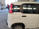  Fiat  Panda FIAT  / 2011 / 5P / BERLINA 1.2 69CV SeS E6D-TEMP EASY #49