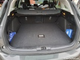  Ford  Focus  Turnier Vignale 2.0 EcoBlue 110KW MT6 E6d #85