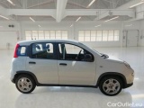  Fiat  Panda FIAT  / 2011 / 5P / BERLINA 1.0 FIREFLY 70CV SeS HYBRID #6