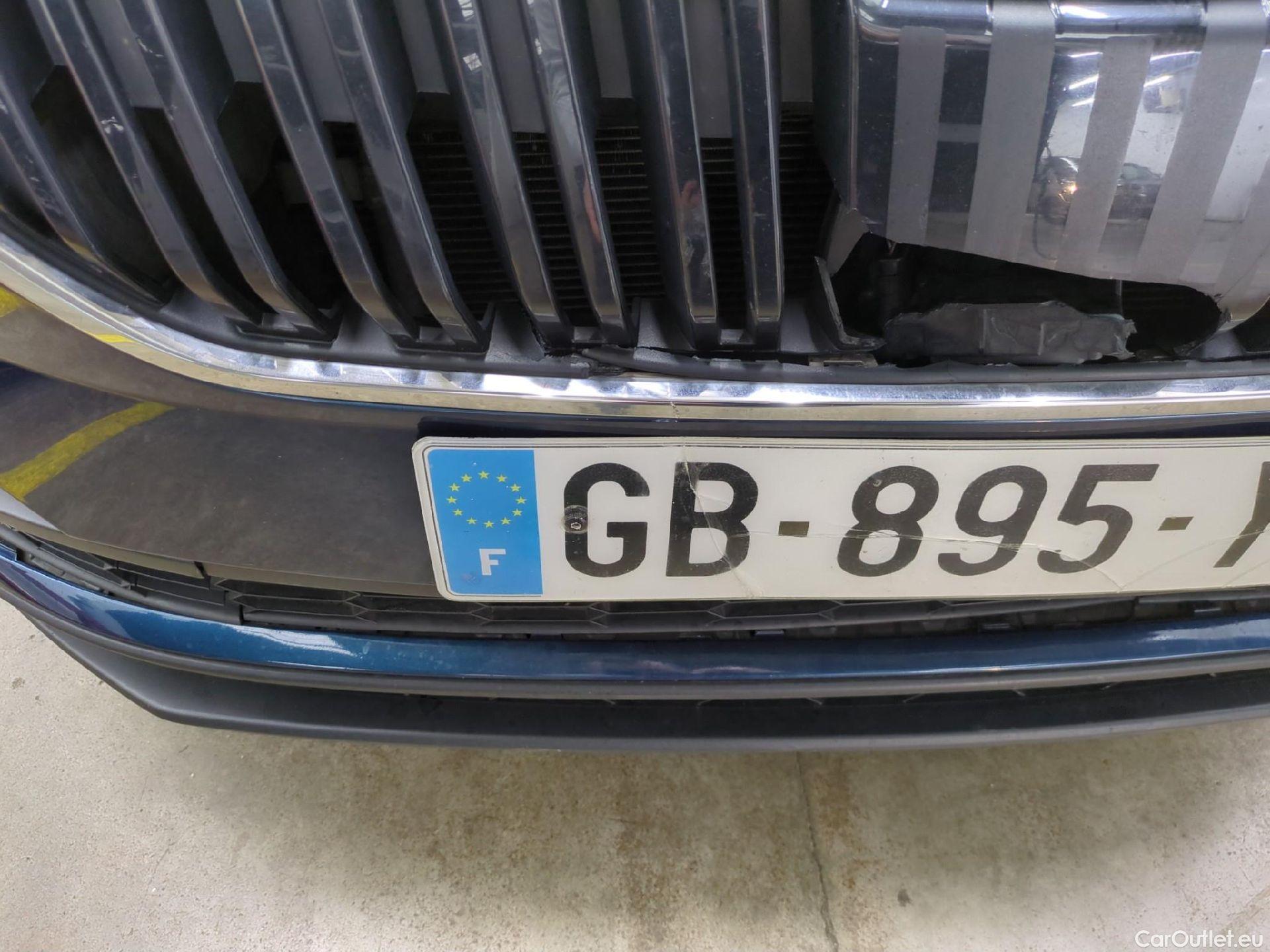  Skoda  Karoq  Business 2.0 TDI 115CV BVA7 E6d #14