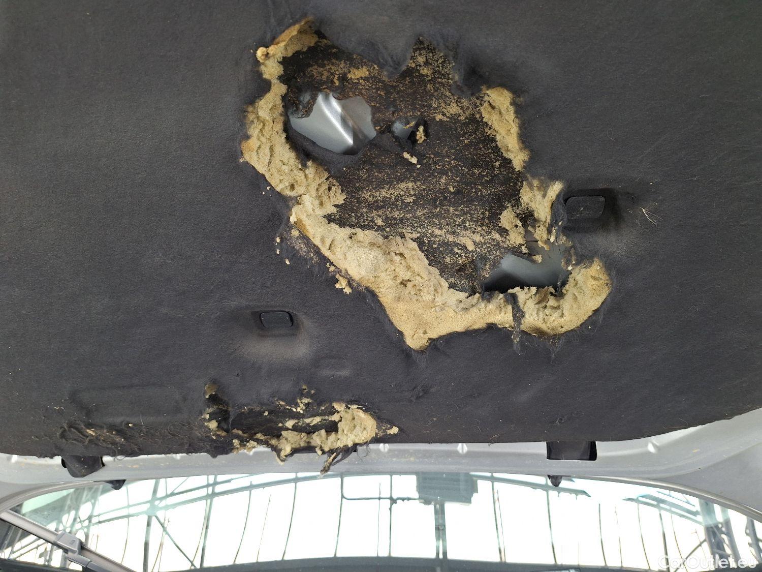  Ford  Focus Ford,  SW '18, Ford  Clipper 1.5 EcoBlue 88kW Aut. Trend Ed. #19