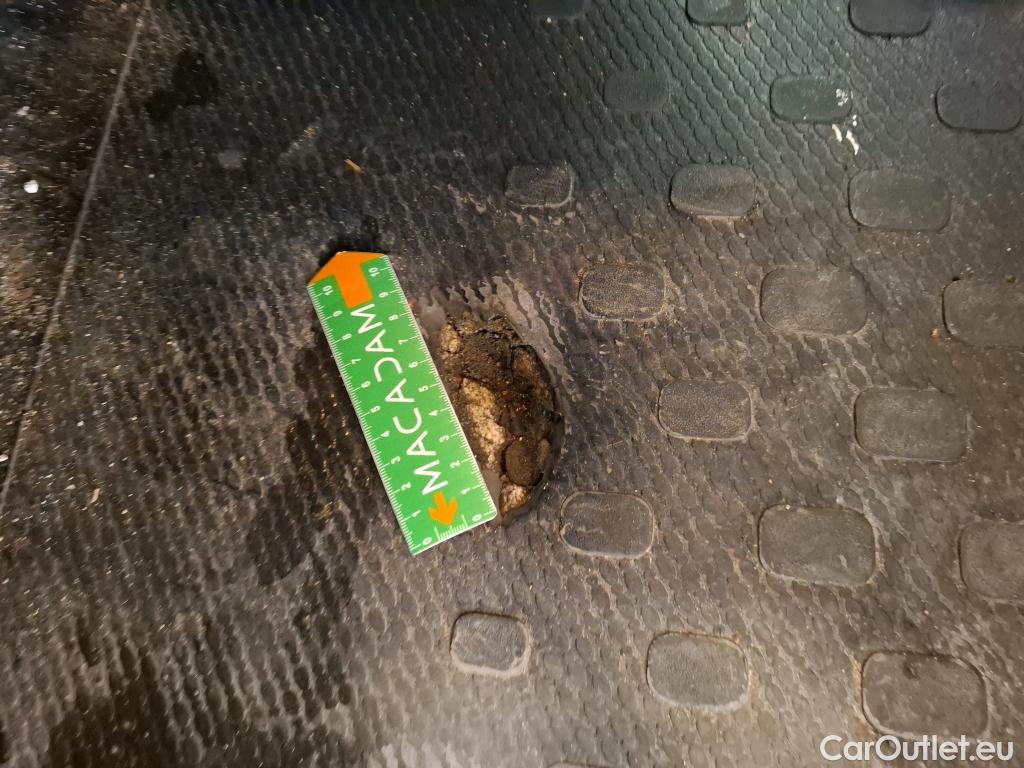  Renault  Trafic RENAULT  / 2019 / 4P / Fourgon tole NV FG GCF L2H1 1300 dCi 95 #21