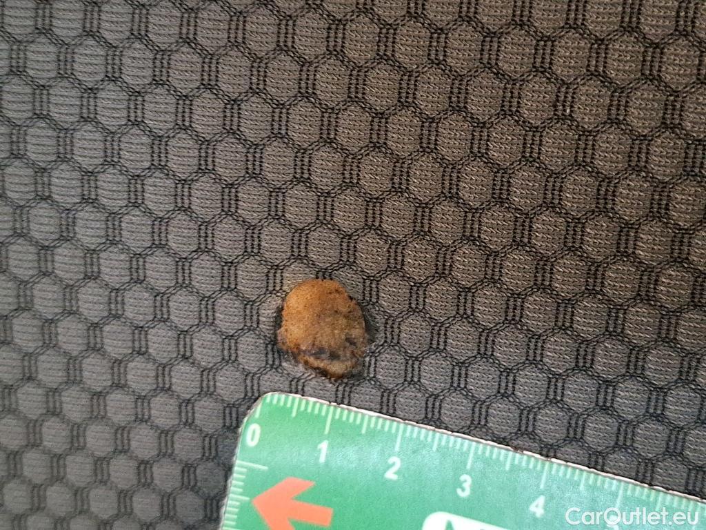  Renault  Kangoo  Express Maxi Extra (Série Spéciale) 1.5 dCi 90CV BVM5 E6 #5