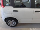  Fiat  Panda FIAT  / 2011 / 5P / BERLINA 1.0 70CV SeS HYBRID #50