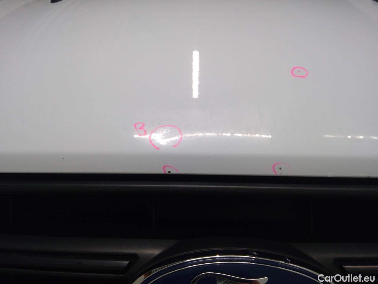  Ford  Transit Tr.Cus.TDCi 130 30 L1H1 M Tr. #33