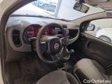  Fiat  Panda FIAT  / 2012 / 5P / BERLINA 1.2 69 CV VAN 2 POSTI EURO6 POP #3