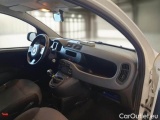  Fiat  Panda FIAT  / 2012 / 5P / BERLINA 1.2 69 CV VAN 2 POSTI EURO6 POP #3