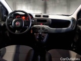  Fiat  Panda FIAT  / 2012 / 5P / BERLINA 1.2 69 CV VAN 2 POSTI EURO6 POP #3