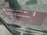  Skoda  Superb  Combi (3T5)(2010) Sup.C.FL2.0TSI 140 L&K AT #10